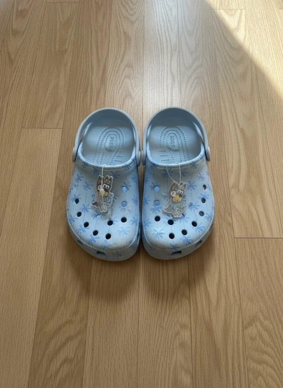 Bluey Clog Sandals Blue Toddler 9 NWT